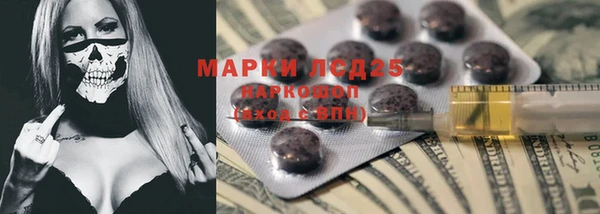 стаф Гусев