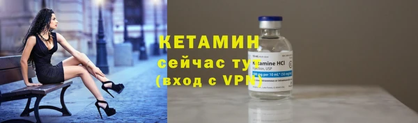 стаф Гусев