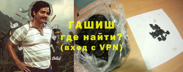 стаф Гусев