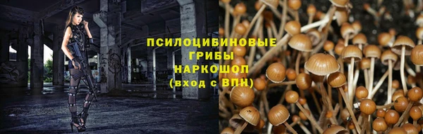 ALPHA PVP Гусь-Хрустальный