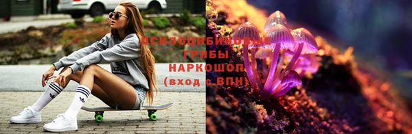 ALPHA PVP Гусь-Хрустальный